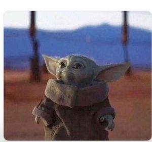 Meet your Posher, Dominique